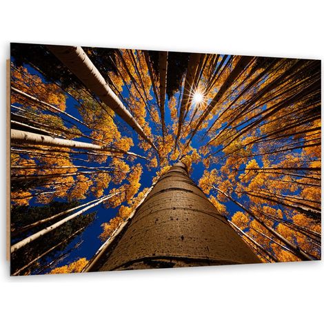 Quadro deco panel, Corone di alberi - 90x60 (1/5)