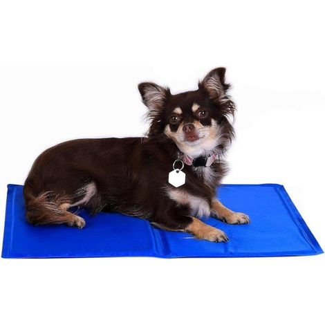 Tapis rafraîchissant pour Chiens et Chats, 50x40 cm, Couverture rafraîchissante Pliable sans électricité,Refroidissement par Contact (1/5)