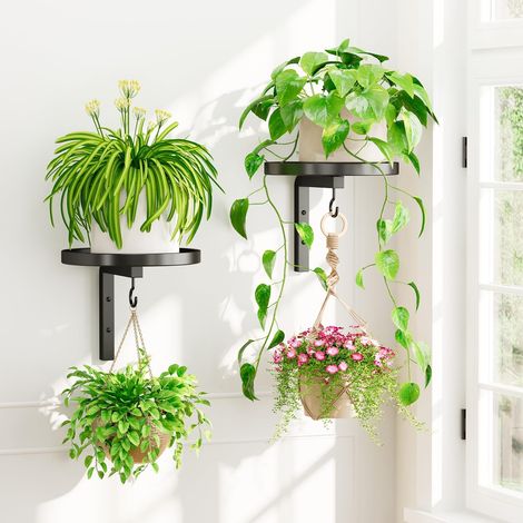 Lot de 2 supports muraux pour plantes – Support intégré avec crochets pour plantes vertes et pots de fleurs (1/5)