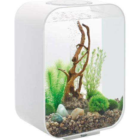 Acuario de 15 litros con contornos LED blancos - LIFE 15 LED WHITE - Oase -