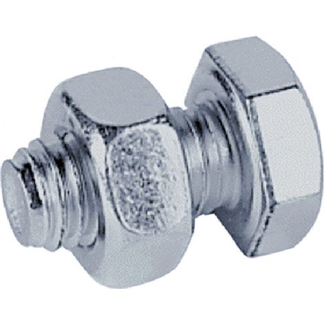 1CF BULLONE CON DADO 8 x 10 pz 40