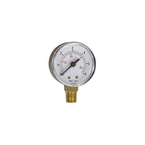 Manometro Per Pompe Con Attacco Radiale Verticale - DN ø mm.55 attacco radiale raccordo M 1/4"