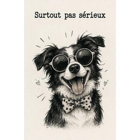 Plaque Métal Chien Surtout Pas Sérieux Déco Humour 30 x 20 cm (1/2)