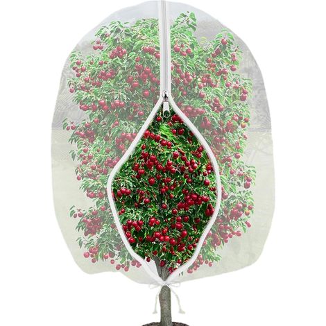 Filet De Protection Pour Arbres Fruitiers - Maille Fine 0 25 Mm - Translucide Respirant Avec Fermeture Éclair - 1 X 1 5 M (1/5)