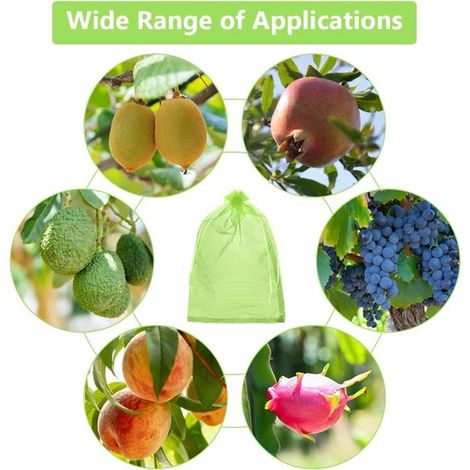 100 sacs de protection pour fruits, sacs de protection pour raisins, sacs en organza, 20 x 30 cm, sacs de protection pour raisins de cuve, contre les dégâts des guêpes, des oiseaux et autres (vert)