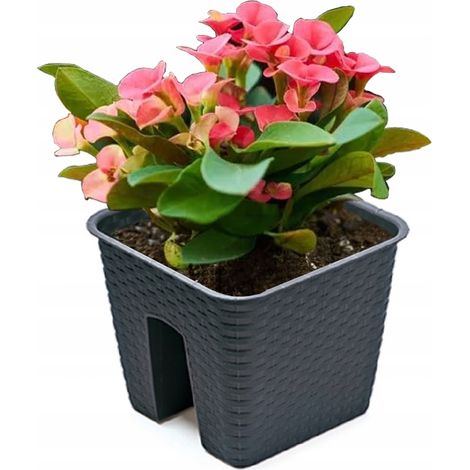 Vaso da fiori da ringhiera Ratolla DRLB280 Antracite (1/3)