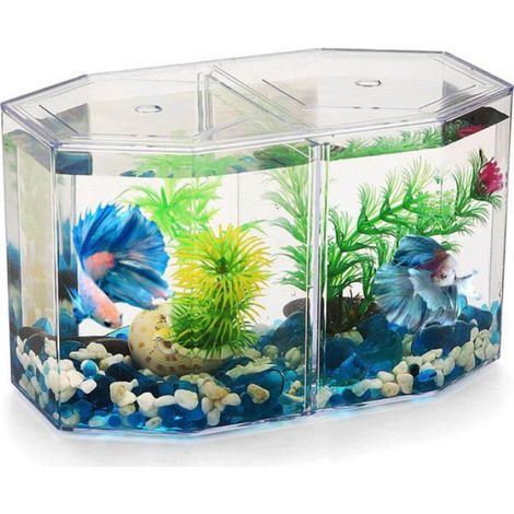 Aquarium de Bureau de Miniature: Petit Aquarium Betta avec Cloison Amovible pour Betta, Poisson Rouge - pour Enfants Débutants