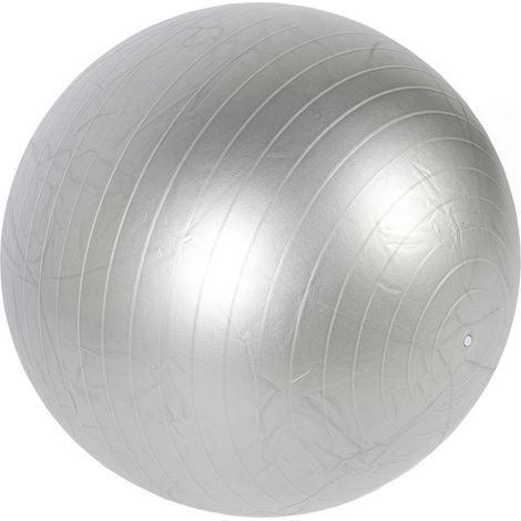 Ballon de stabilité 75 cm PVC Gris Charge max 150 kg Antidérapant Renforcé avec Pompe pour Yoga et Rééducation