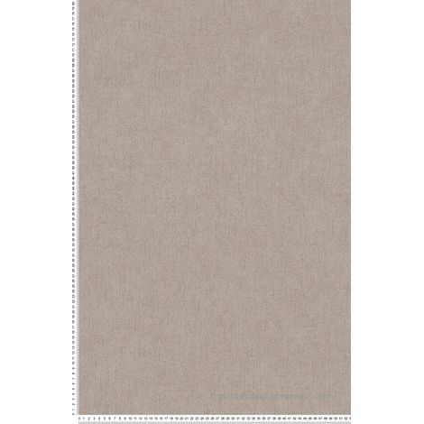 Papier peint Uni Marron Metropolitan Stories 5 Vibes & Styles A.S. Création (1/5)