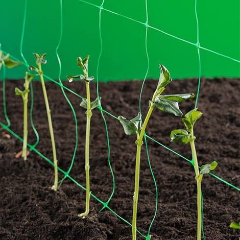 Filet à ramer vert 10 g/m² – Dimensions 1 x 10 m – Polyéthylène extrudé traité anti-UV – Support pour plantes grimpantes – Nature
