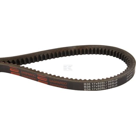 Keilriemen Maschio MASCHIO 06010025