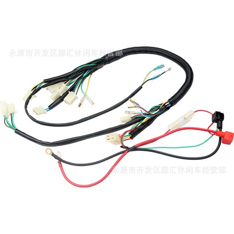 Accessoires pour quad compatible avec les faisceaux de câbles et le câblage complet des véhicules 50-110 cm³ (Quad SunL Kazuma) (1/4)