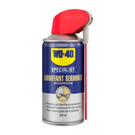 Wd40 Company – Lubrifiant pour serrures – Spray double position 250 ml – Formule sans graisse ni silicone – Pénètre les micro-mécanismes