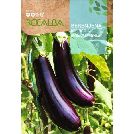 Rokalba Negro Berenjena von Barbentane 3G
