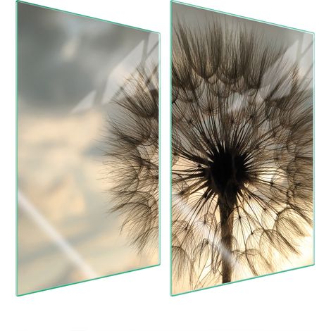 PIASTRA PROTETTIVA IN VETRO PER CUCINA 2x35x52 FIORE (1/5)