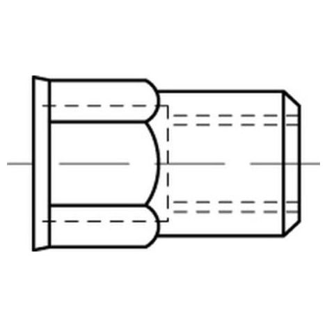 Blindnietmuttern Stahl gal Zn m. Sechskant kleiner Senkkopf M 6 / 0,5 - 3,0 S 250 Stk