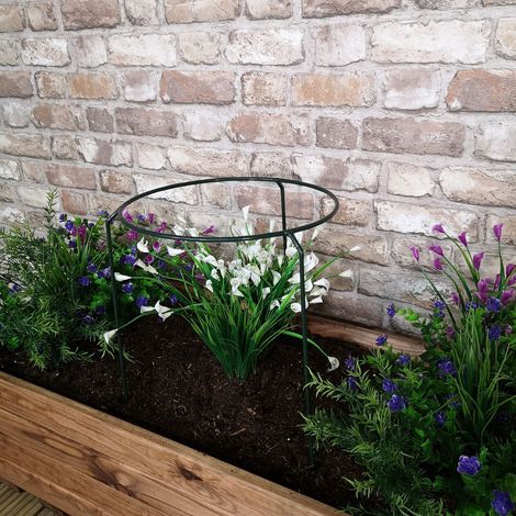 Tom Chambers Urban Metal Herbaceous Garden Plant Support Ring Medium 30cm x 50cm (1/5)