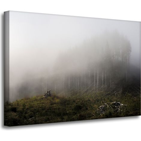 Leinwanddruck Natur Nebel im Wald 70x50 cm