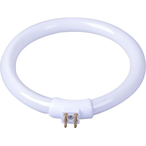 Leuchtstofflampe Röhre LED Lampe T4 12W, 4,8 Zoll Rund Leuchtstoffröhre, Kreis Glühbirne, Runde Leuchtstoffröhre Mit Einstellbarer Helligkeit, Für Wandlampen, Deckenleuchten (1/5)