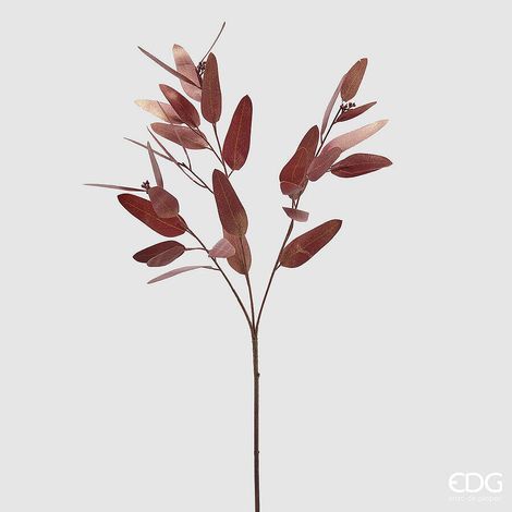EDG Enzo De Gasperi Eucalipto Ramo H 82 Cm Brown