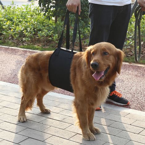 Schwarzes Rehabilitationsgeschirr für Hunde mit Griff für Assistenzhunde (S)-Crezuo