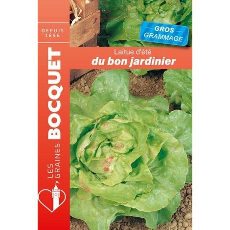 Laitue d'été du bon jardinier GROS GRAMMAGE - 12g