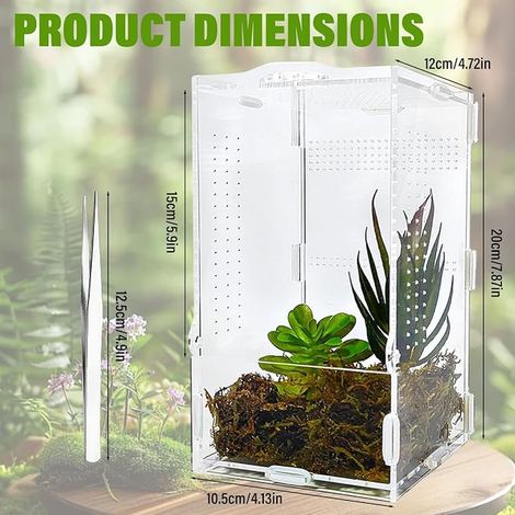Terrarium en Acrylique 11 x 12 x 20 cm Terrarium Phasme Boîte d'alimentation D'insectes Boîte d'alimentation Reptiles Spide Escargots Gecko (1/2)