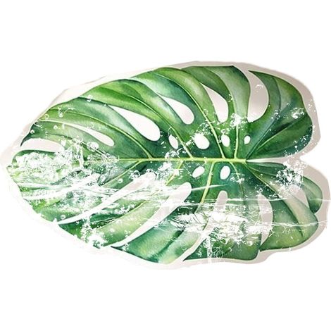 Tapis de salle de bain vert, tapis de bain absorbant, (1/5)