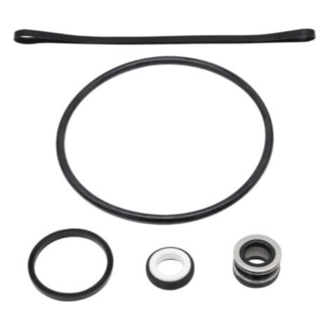 Kit de Réparation de Joint Torique SP3000X pour Pompe Hayward – Inclut Ensemble de Joint d'Arbre SPX1600Z2 PS-20 – Rénovation Complète (1/4)