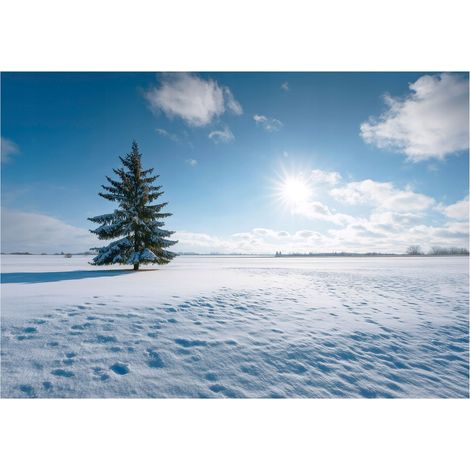 Fototapete Feld Landschaft Natur – Großformat Wandtapete 350x250 cm – Für Wohnzimmer & Schlafzimmer