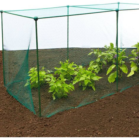 Build-a-Cage Fruit & Veg Cage with Bird Net - 2m x 2m x 1.25m high (1/5)