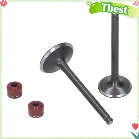 Tbest Soupape d'échappement d'admission de tête de moteur YINXIANG Kit de Soupape de Moteur YX 140 , Alliage D'acier auto moteur (1/5)