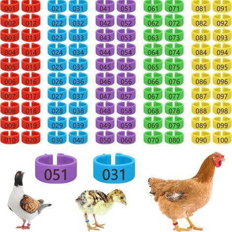 Anneaux d'identification pour pattes de poulets, canards et oies – Lot de 100 pièces – Assortiment de 5 couleurs (numérotés/fermeture à pression) – Diamètre intérieur 16 mm (1/5)