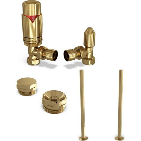 Derry Bold - Polished Brass Thermostatic Radiator Valve & Installation Kit Angled 15mm (130mm version) (1/4)