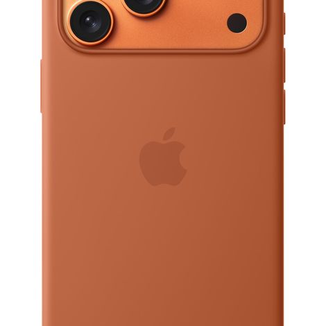 Apple MGFQ4ZM/A custodia per Apple iPhone 17 Pro Max Cover Terracotta (1/3)