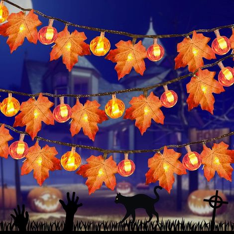 Guirlande Lumineuse de Thanksgiving Lights - Pour l'Automne et la Citrouille - Décoration de Thanksgiving - À piles - Pour les Vacances, l'Automne, la Décoration intérieure( 6 Mètres avec 40 Lampes) (1/5)