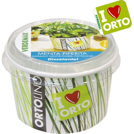 KIT ORTOLINO MENTA PIPERITA