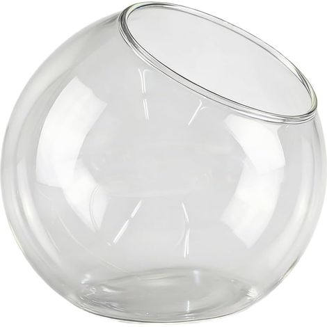 Vase terrarium en verre transparent, globe suspendu borosilicate pour plantes succulentes (1/5)