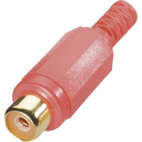 TRU COMPONENTS 1578915 Cinch-Steckverbinder Buchse, gerade Polzahl: 2 Rot 1 St.