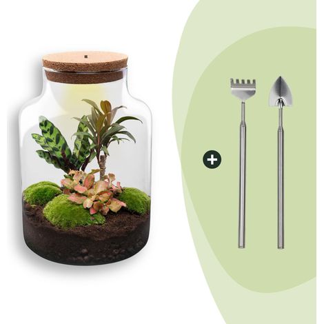 Kit Terrarium Plantes DIY Milky avec Lumière et Outils Écosystème Autonome Ø 21 x 30 cm - PANGIVO (1/3)