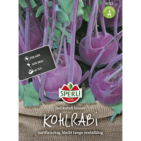 Sperli Kohlrabi Delikateß blauer - Gemüsesamen (1/2)