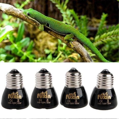 Lampe chauffante pour reptiles 25W E27, ampoule chauffante pour lézards, tortues, serpents et caméléons (1/4)