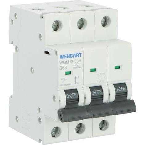 Disjoncteur Triphasé 3P - Courbe B - AC 230V/400V - Pouvoir de Coupure 6kA - Idéal pour Pompe à Chaleur, Systèmes Triphasés et Protection de Lignes Longues (1/5)
