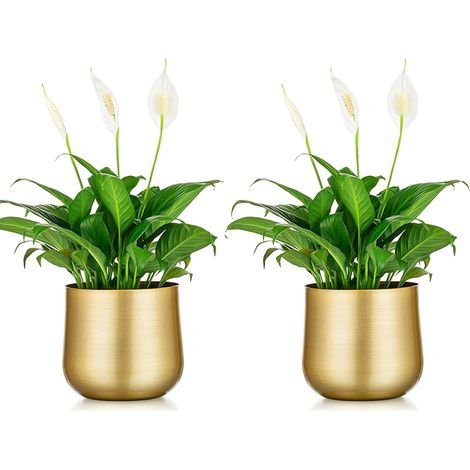 Pot de Plante Vase: 14,5cm Hauteur, Métal, avec Trou de Drainage 2 Pièces, pour Fleur, Mariage Intérieur/Extérieur, Balcon, Affichage (1/5)