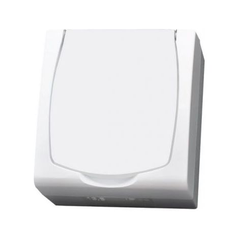 Base de enchufe individual Madera blanca nt con toma de tierra 2PZ IP44 solapa blanca (1/5)