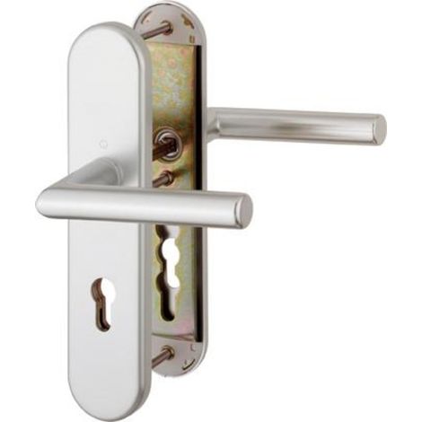 Poignée porte SiGrt1400/3331/3310 SST-LL ES1 F1 10 PZ-92 42 (1/3)