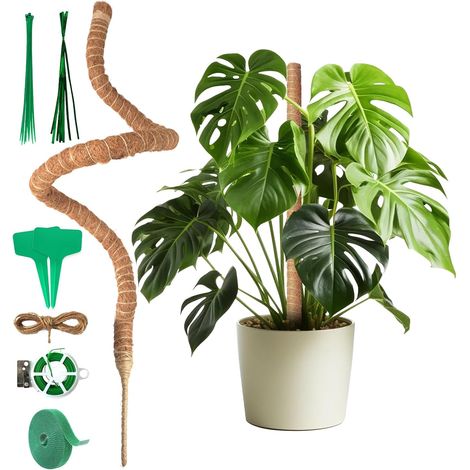 Lot de Tuteurs pour Plantes Grimpantes - 120 cm Tuteur Coco - Support en Fibre de Coco Pliable pour Jardin et Pots (1/5)