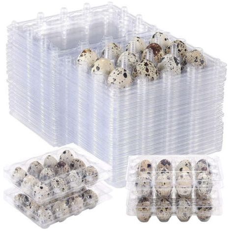 100pcs 12 Grilles boîte d'oeufs de caille Oeuf de Caille Cartons réutilisables Boite de Rangement des Oeufs Frigo Transparent Boîte De Rangement Mini Oeuf Distributeur avec couvercle pour réfrigérateu (1/5)