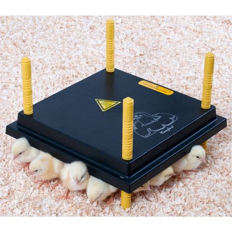Chemin Des Poulaillers – Panneau chauffant pour 20 à 25 poussins – ABS 30x30cm 22W – 4 pieds réglables – Fusibles température et résistance (1/2)