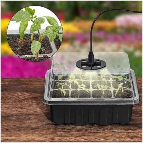 Plateau de semis 5 pièces Propagateur de Plantes avec lumière Plateau de départ rembourré pour semis avec fenêtre Ajustable pour serres et Jardins (Noir)